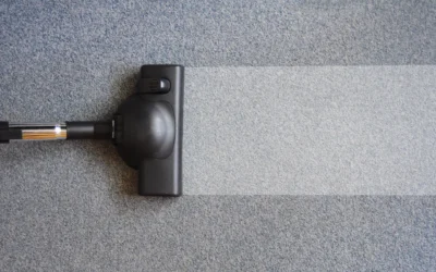 Stain Removal Guide for Carpets