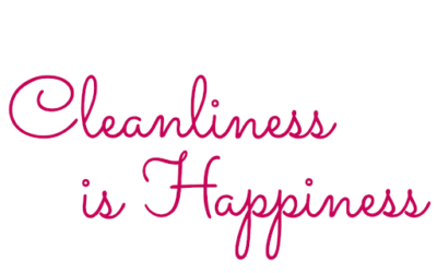 Fresh Start: Keeping a Clean House in the New Year