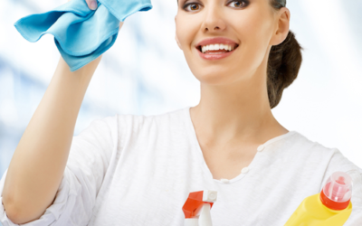 Professional Home and Office Cleaning Services in Downers Grove, Illinois
