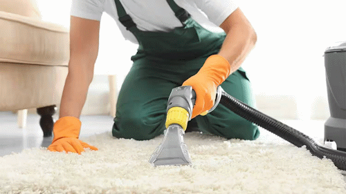 Carpet Cleaning Plainfield – Transform Your Carpets from Drab to Fab