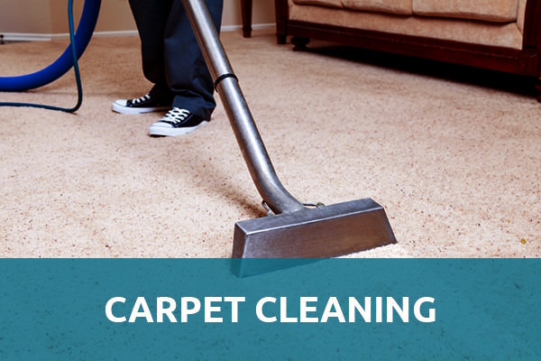 How Often Should You Have Your Carpets Professionally Cleaned?