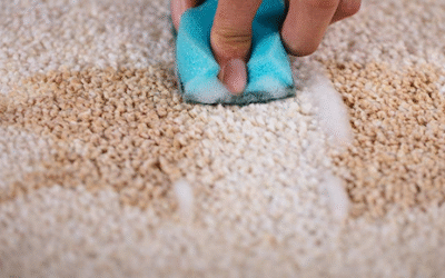 Carpet Cleaning Tips: How to Keep Your Carpets Cleaner, Fresher, and Looking Better Longer