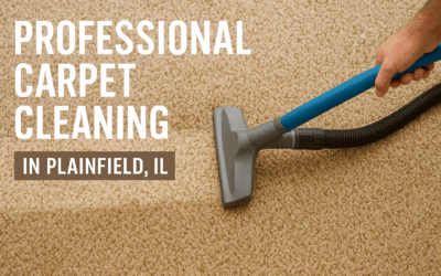 Professional Carpet Cleaning in Plainfield, IL: The Ultimate Guide to a Healthier, Fresher Home