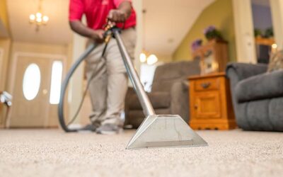 Professional Carpet Cleaning in Plainfield, Naperville & Aurora, IL: Your Complete Homeowner’s Guide