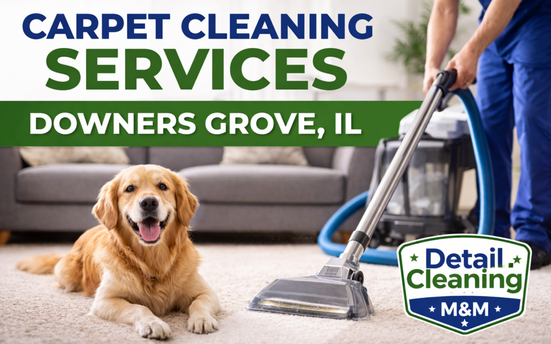 Carpet Cleaning Services in Downers Grove, IL