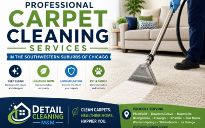 Professional Carpet Cleaning Services in the Southwestern Suburbs of Chicago