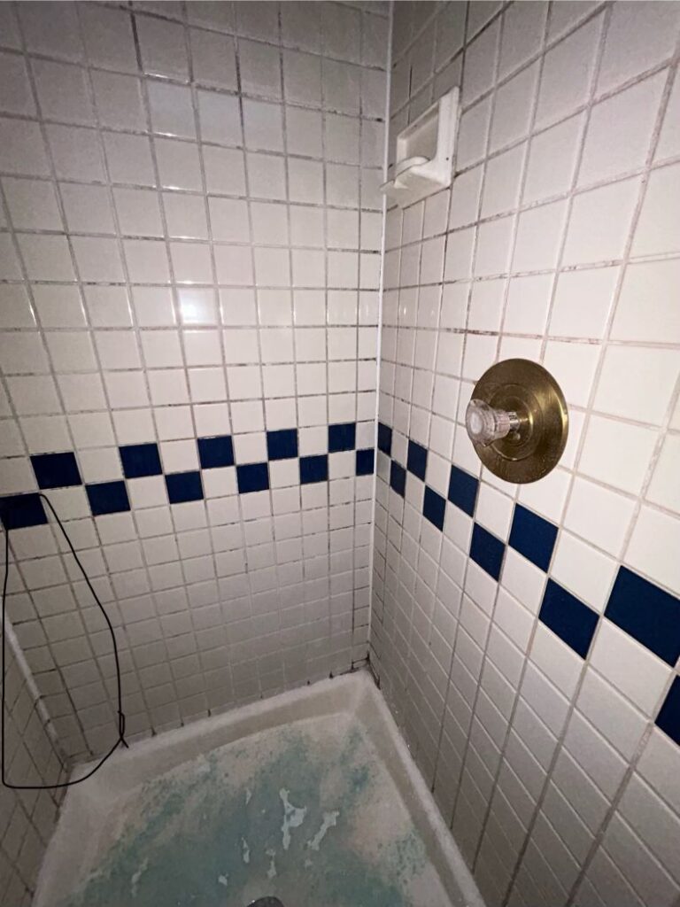 plainfield cleaning services