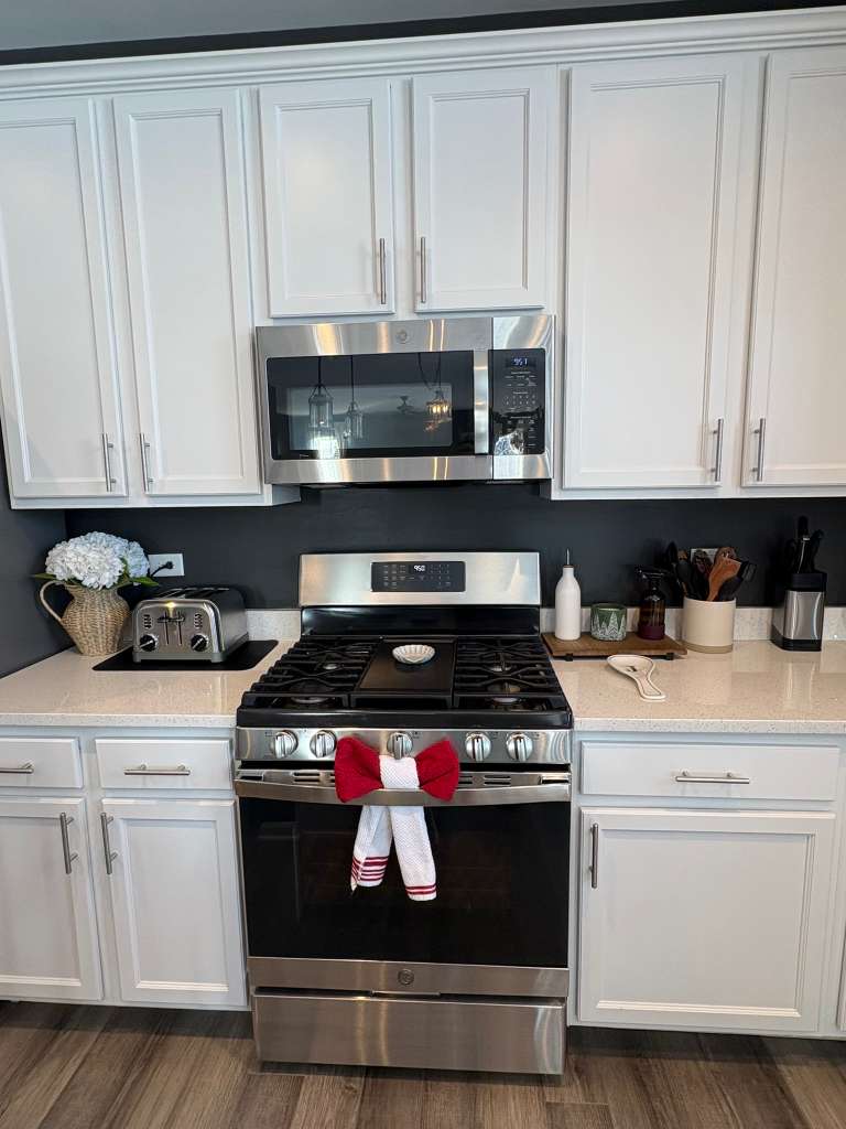 professional cleaning plainfield