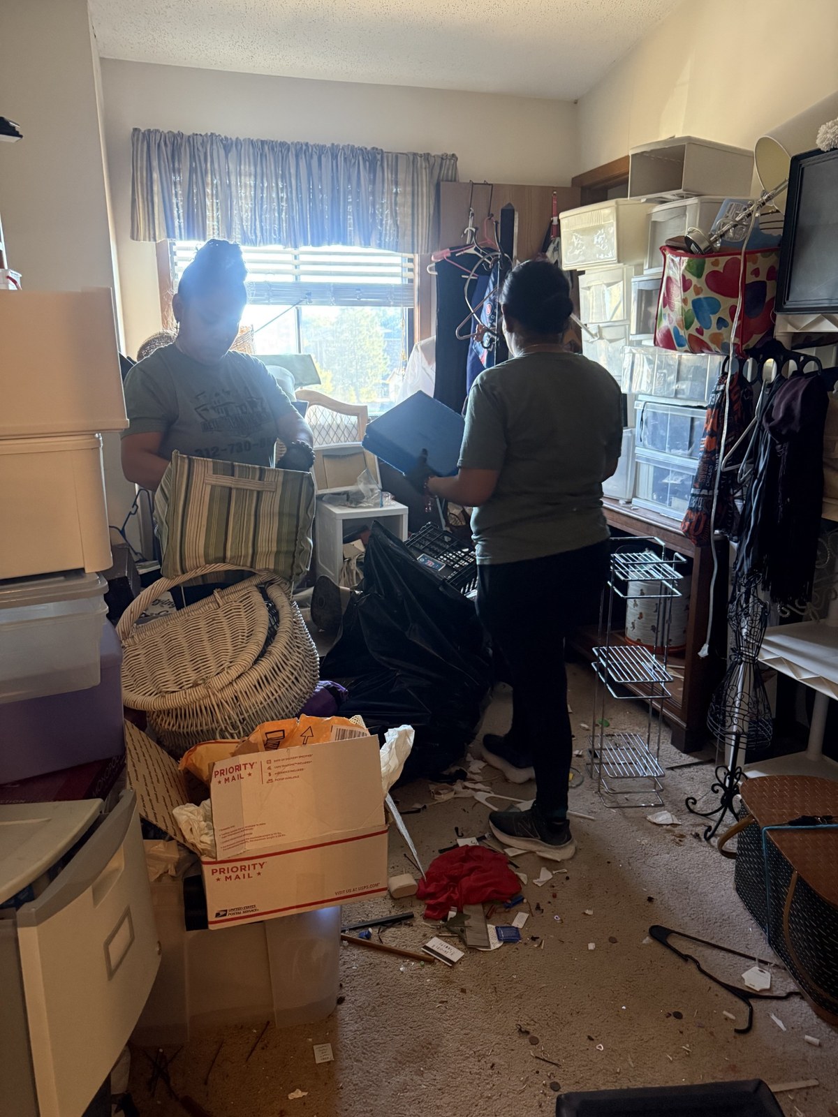 Professional cleanup team sorting and removing clutter